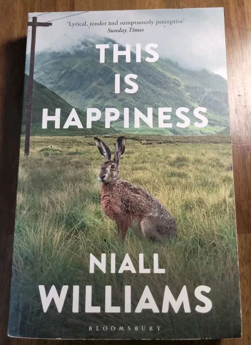 This Is Happiness - paperback Niall Williams